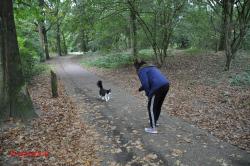 Poes.